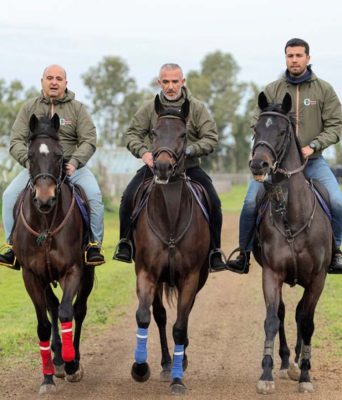 _Sartiglia Pocket 2026 (1)-18